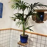 度假居 Lavastein-bauernhaus Yazmina Mit Schoenem Garten By Interhome *