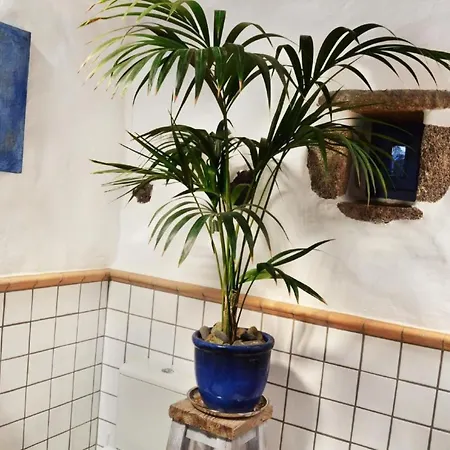 Feriehus Lavastein-bauernhaus Yazmina Mit Schoenem Garten By Interhome *