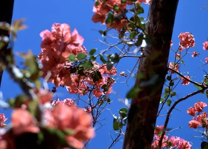 Ferienhaus Lavastein-bauernhaus Yazmina Mit Schoenem Garten By Interhome